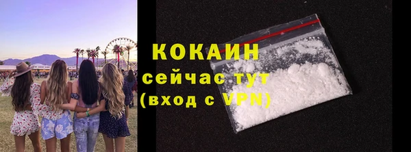 прущие крисы Каменка