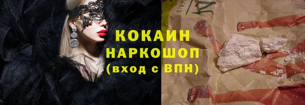 мдпв Инсар