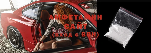 мдпв Инсар