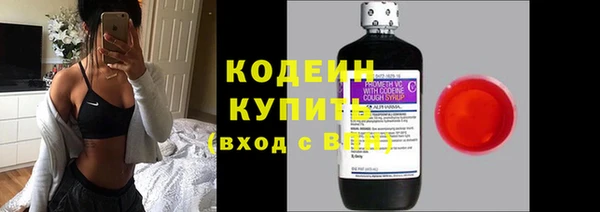прущие крисы Каменка