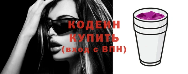 мдпв Инсар