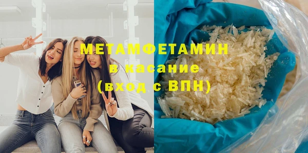 мдпв Инсар