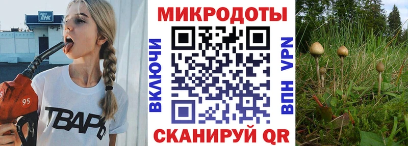 Галлюциногенные грибы GOLDEN TEACHER  Касимов 