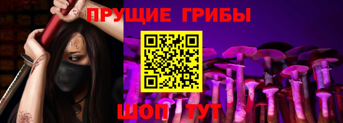Псилоцибиновые грибы Psilocybe  Псилоцибиновые грибы Psilocybine cubensis  Касимов  Вход с VPN 