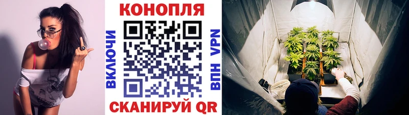 МЕГА ссылка  закладка  Касимов  МАРИХУАНА сатива 
